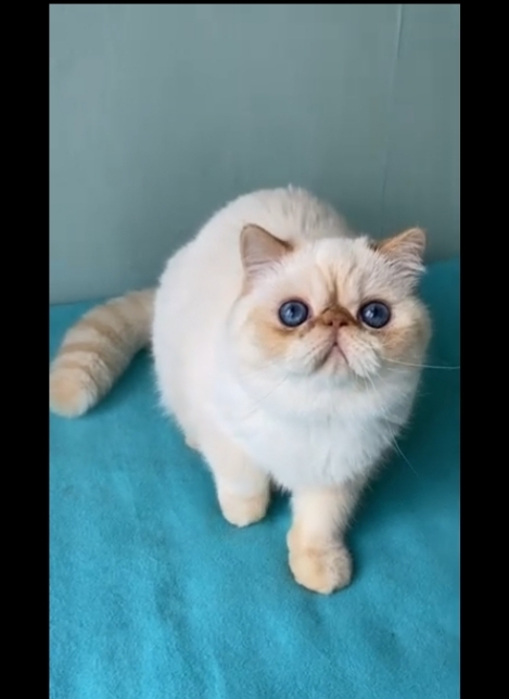 Benim Kızım tatlımı😻?
