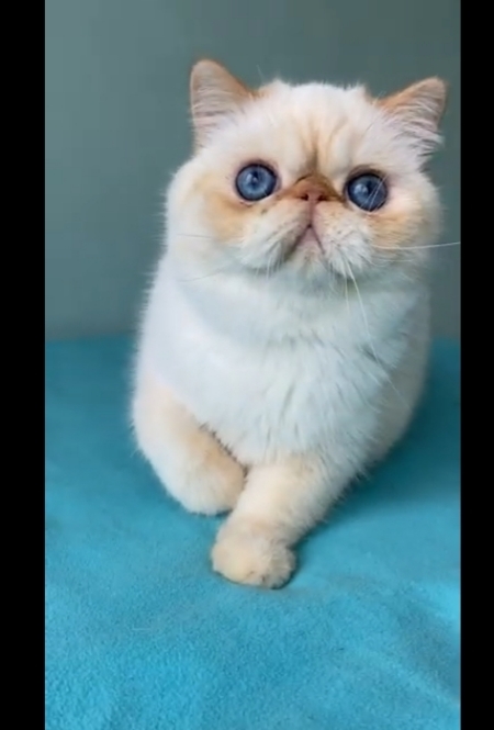 Benim Kızım tatlımı😻?