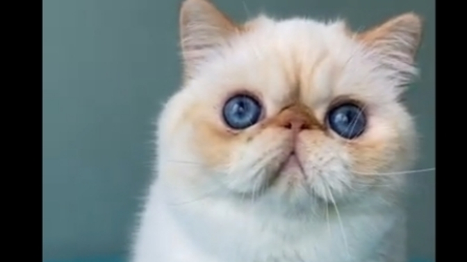 Benim Kızım tatlımı😻?