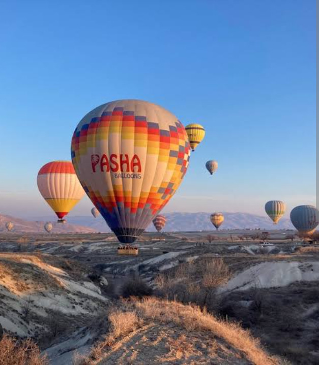 Binmesini eğlenceli bulduğunuz taşıt hangisi?