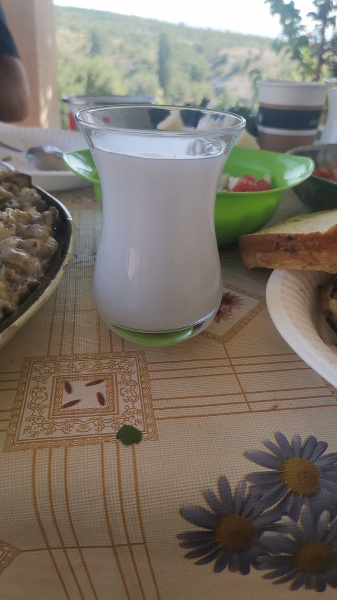 Gününüz nasıl geçti canoşkiler?