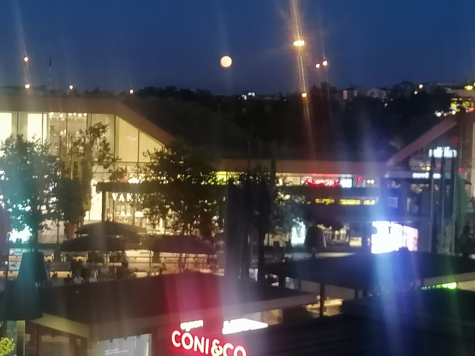 Yaşadığınız şehri seviyor musunuz?