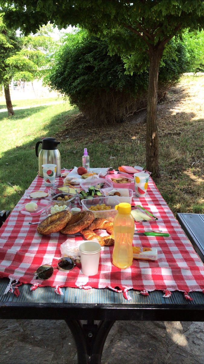 Piknik yapmayı sever misiniz? En son ne zaman piknik yaptınız?