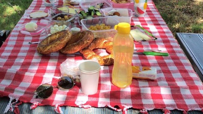 Piknik yapmayı sever misiniz? En son ne zaman piknik yaptınız?
