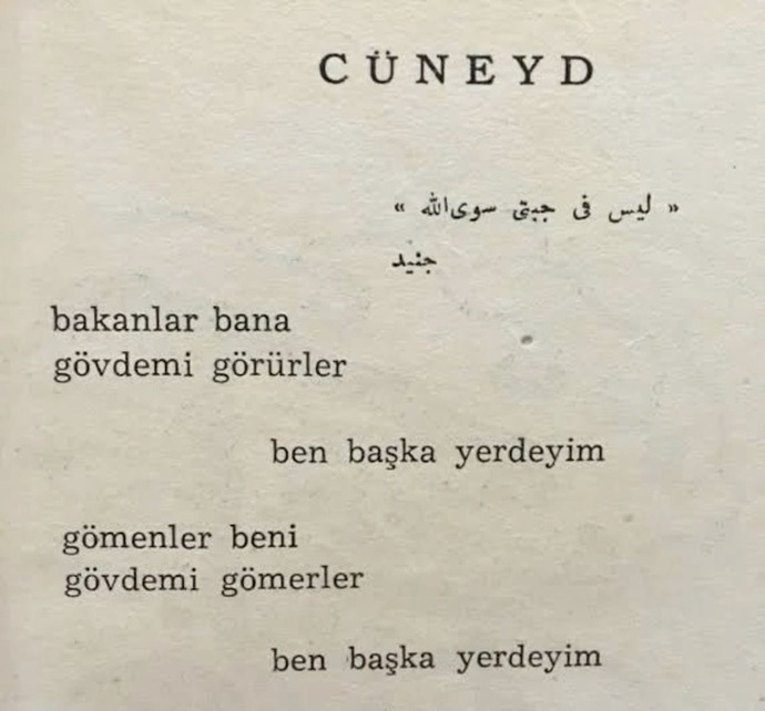 Okuduğunuz şiirleri, yazıları irdeleyip altında mesaj arar mısınız?