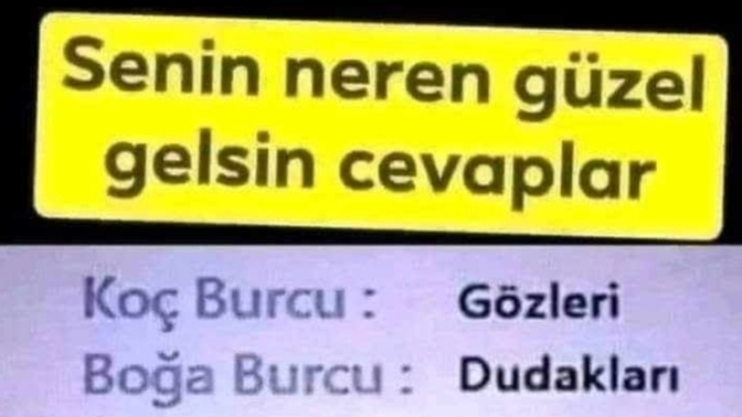 Burcuna göre senin en güzel yerin neresidir?