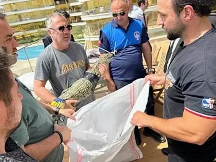 İstanbul Kartal’da bir evde timsah besleyen kişi gözaltına alındı, evde timsah beslemek normal mi?