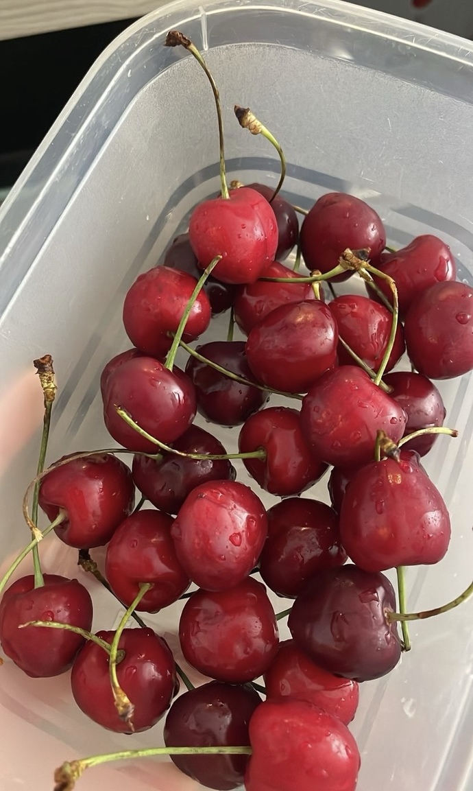 Bu dünyada ne ile sınandığınızı düşünüyorsunuz?
