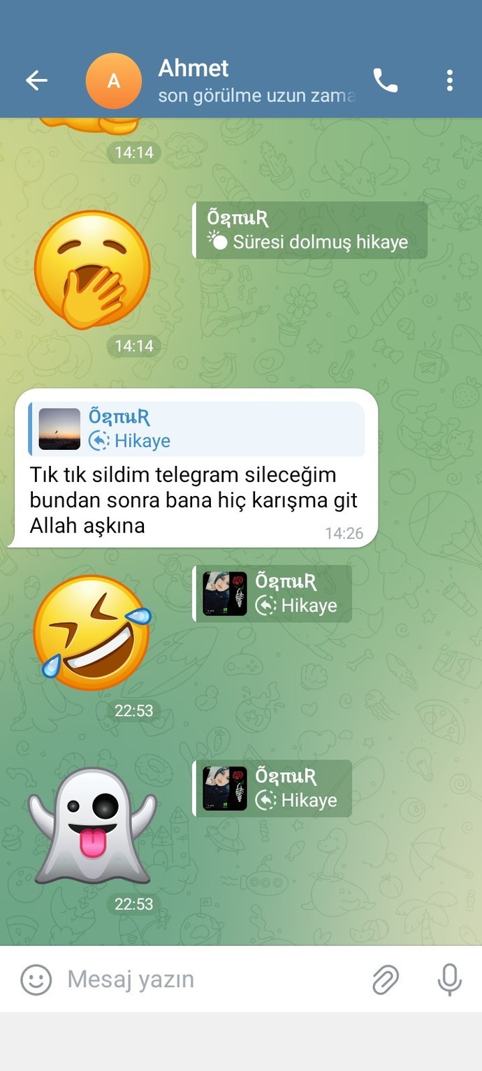 Exin kedisi emoji atmış bana?