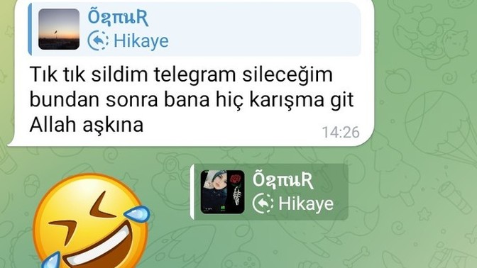 Exin kedisi emoji atmış bana?