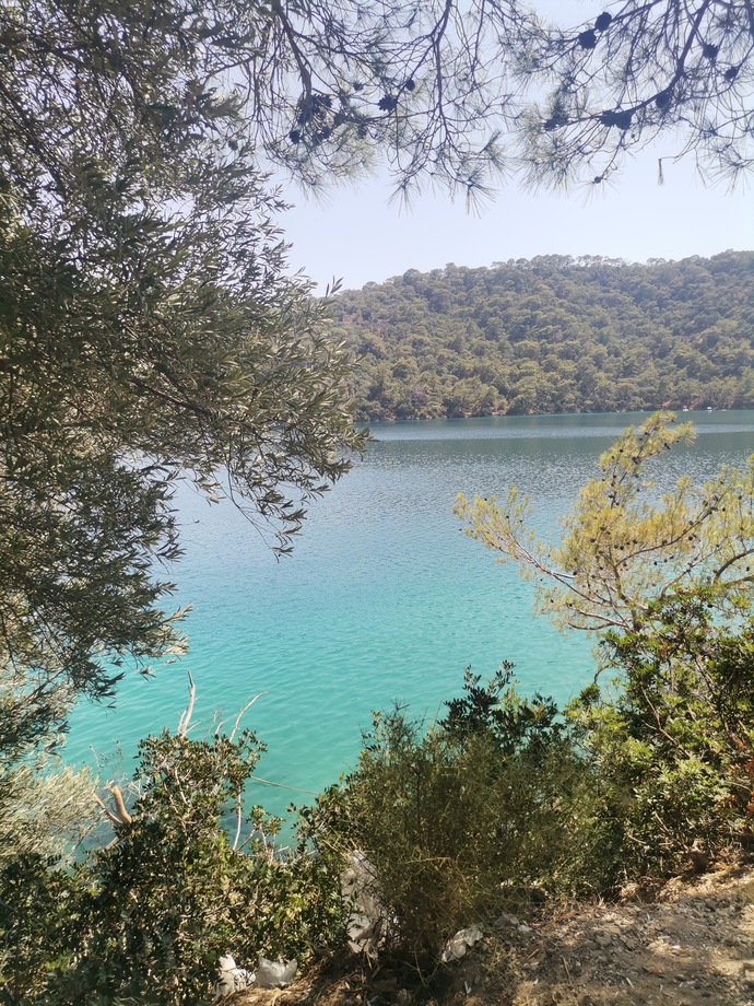 Tam şu an napıyorsunuz?