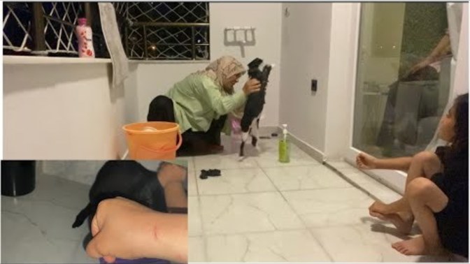 Kediye yaptığı doğru mu video?