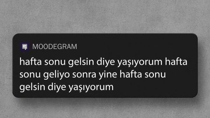 Seni ayakta tutan ne?