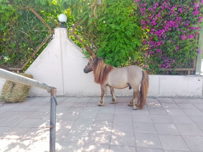 Galerini süsleyen en güzel karelerden birini paylaşır mısın?
