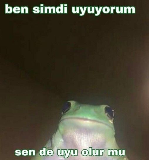 KS, ben yatıyorum bir şey diyor musun?