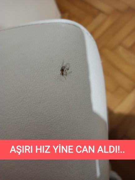 Sivrisineklere karşı ne tür yöntemler kullanırsınız?