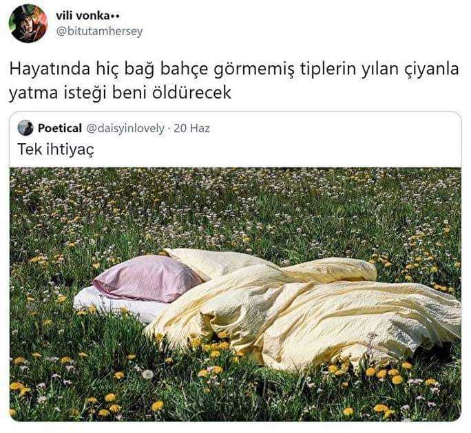 Hiç köye gittiniz mi?