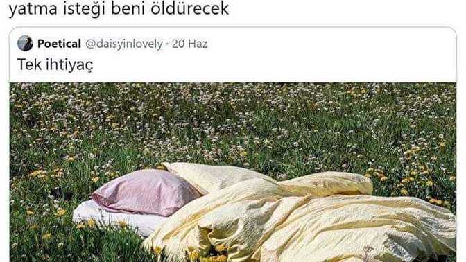 Hiç köye gittiniz mi?