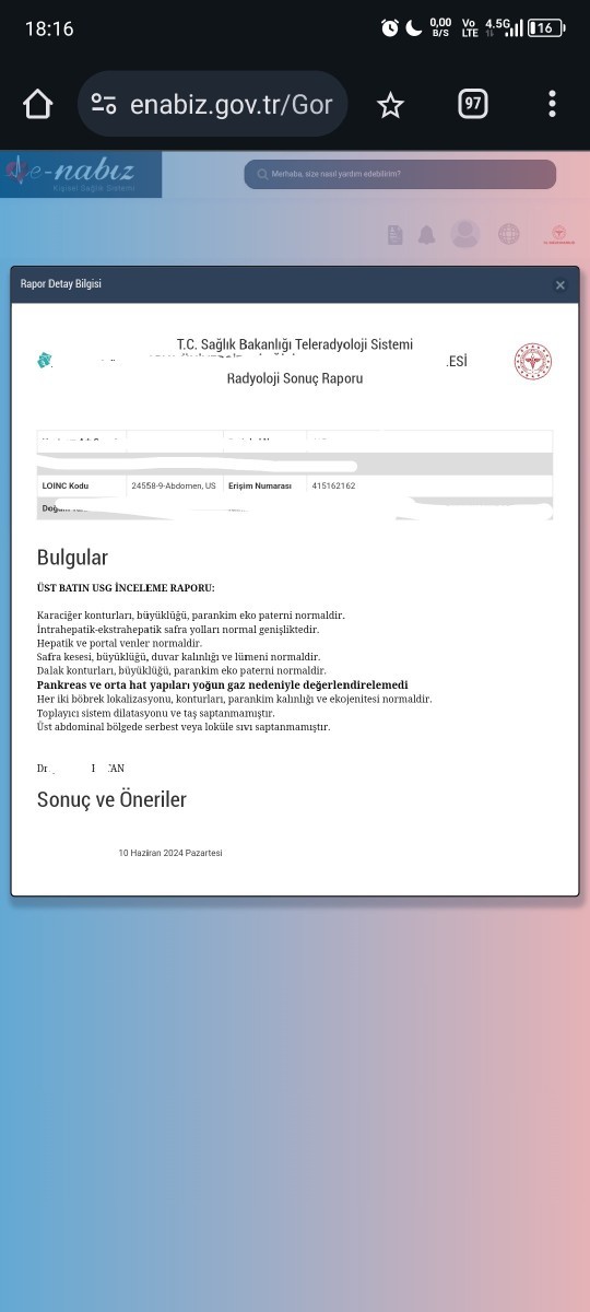 Bilirubin neden artar?