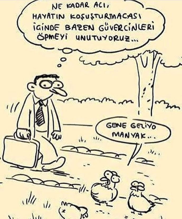 Hayatın akışında bu kadar koşuşturma içinde kaçırdığınız şeyler var mı?