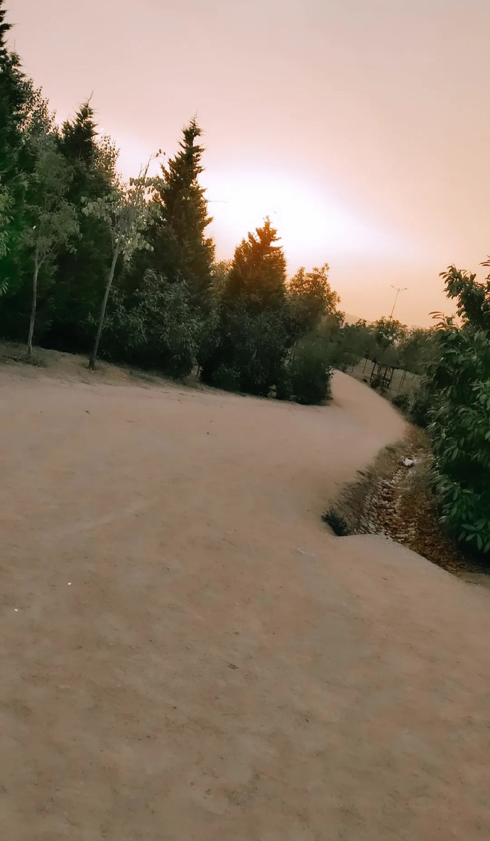Yürüyüş yapmayı hangi saatler arasın da seversiniz?