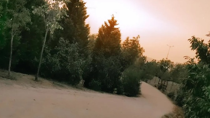 Yürüyüş yapmayı hangi saatler arasın da seversiniz?