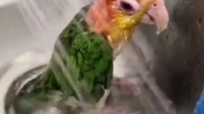 Kadınların En Çok İlgisini Çeken Hareket Sizce Nedir?
