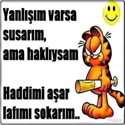 Mesajınıza cevap vermeyip durum yapan insana ne denir?