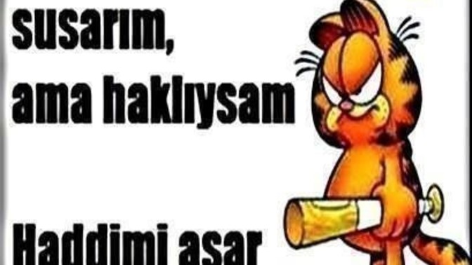 Mesajınıza cevap vermeyip durum yapan insana ne denir?