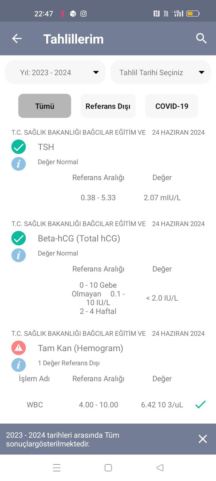 Hamile miyim? Anlayan var mı test sonucundan?
