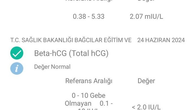 Hamile miyim? Anlayan var mı test sonucundan?