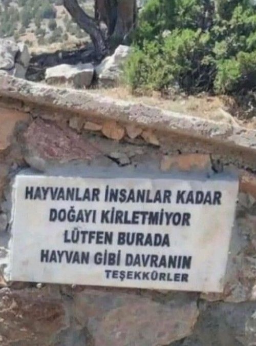 Bazı olayları görünce keşke hayvan olsam diyor musunuz?