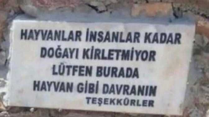 Bazı olayları görünce keşke hayvan olsam diyor musunuz?