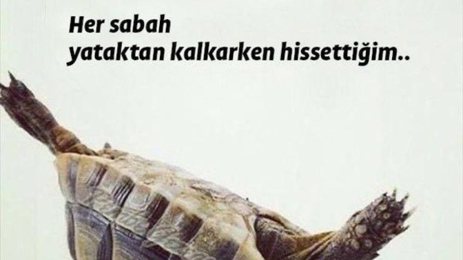 Dört n ile günaydınnnn mesajı aldınız mı?