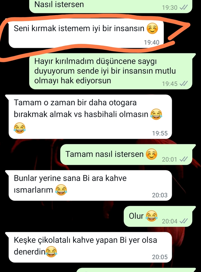 Seni kırmak istemem iyi bir insansin diyen Kız hoşlanmıyor mu?