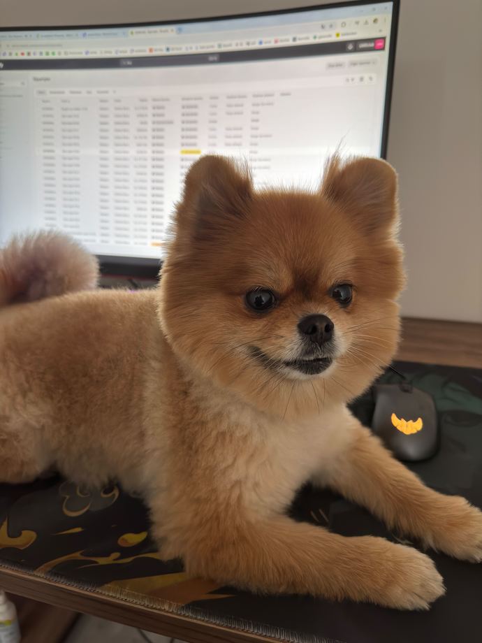 Sizi en iyi anlayan kişi kim?