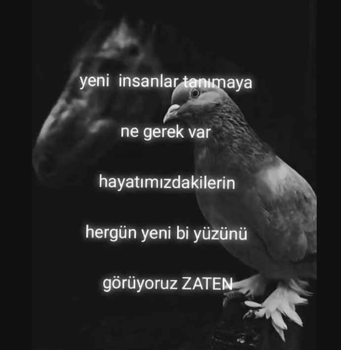 Yeni insanlar tanımayı sever misin?