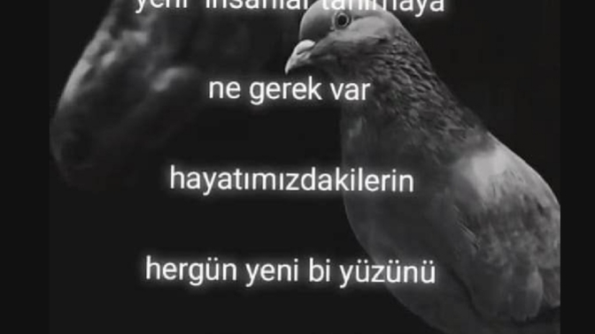 Yeni insanlar tanımayı sever misin?