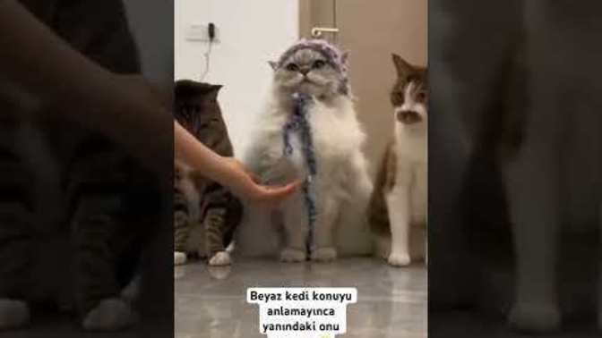 Evcil dostunuz var mı?