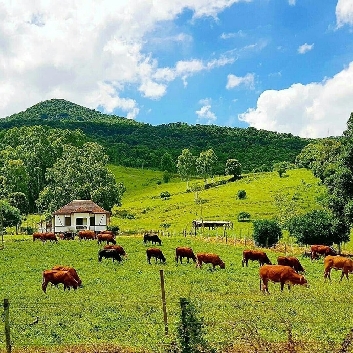 Köyde yaşamak mı istersiniz, şehirde mi?