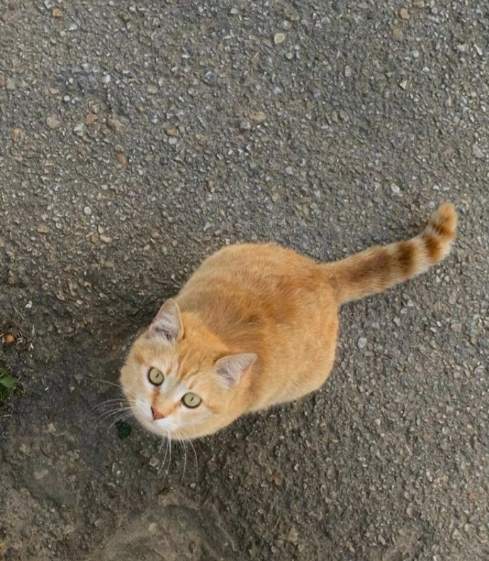Bakma bana böyle 🙄 hiç mi görmedin uzaklara dalan