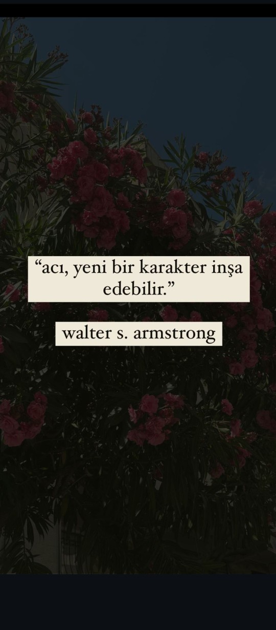 Her şey hemen olsun ister misiniz?