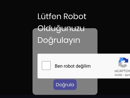 Hayatına robot süpürge gibi girsem ne yapabilirsin?