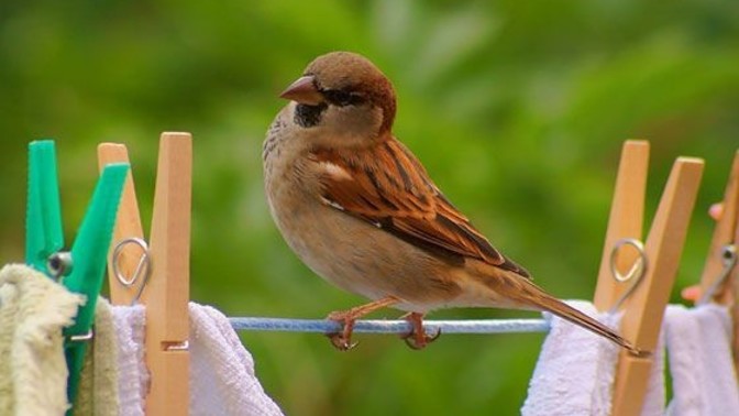 İncitmekten korktuğun neler var?