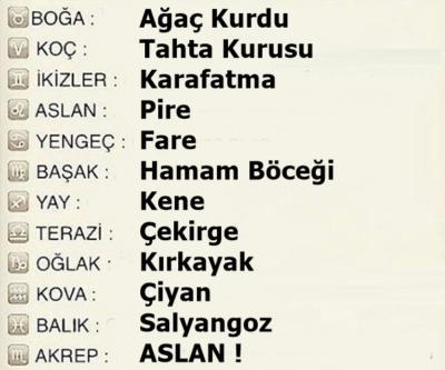 Bir Hayvan Olsaydınız, Ne Olurdunuz?
