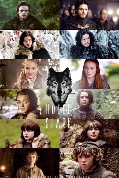 Game of Thrones dizisinin ailelerinden olan Starkların hangi çocuğunu daha çok sevmiştiniz?