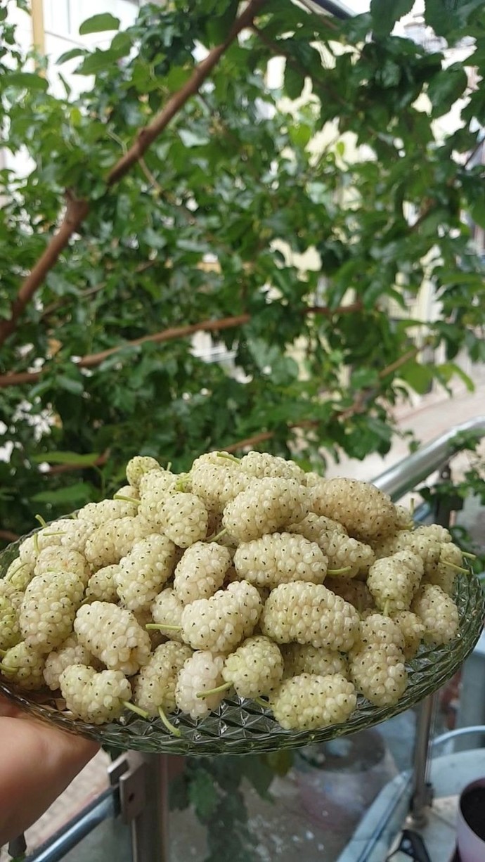 Görüntüsü bile muhteşem 🤤