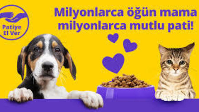 Sokak hayvanlarını beslemek için hangi marka mamayı tercih ediyorsunuz?