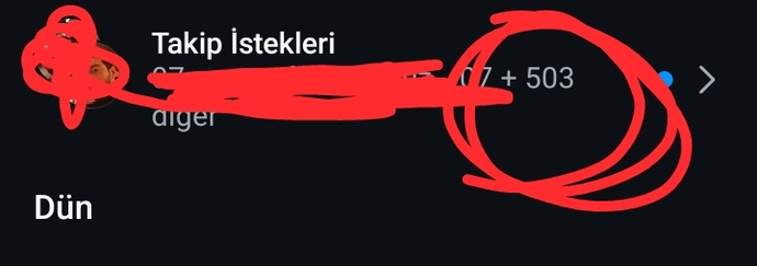 Erkekler neden Instagramda tanımadığınız kızlara takip isteği gönderiyorsunuz?