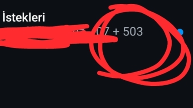 Erkekler neden Instagram'da tanımadığınız kızlara takip isteği gönderiyorsunuz?